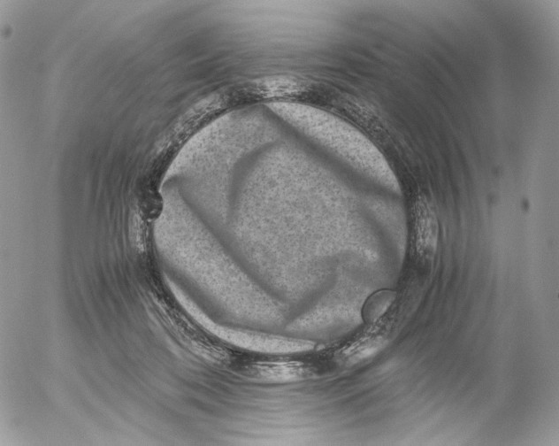 X0000052630316200507221756