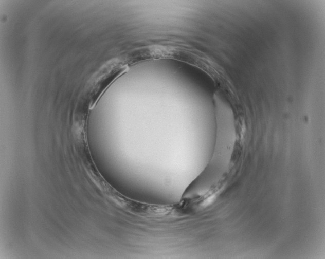 X0000052630329200507221756
