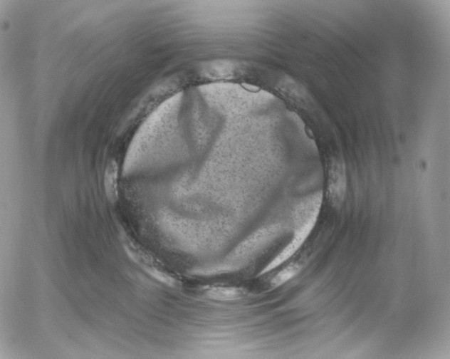 X0000052630332200507221756