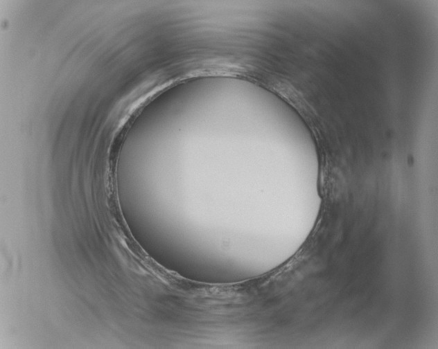 X0000052630338200507221755