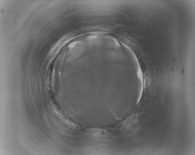 X0000052630339200507221755