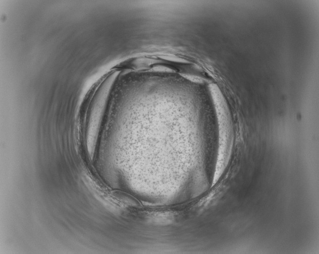 X0000052630342200507221755