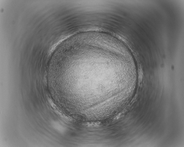 X0000052630345200507221755