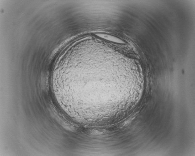 X0000052630346200507221755