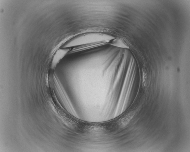 X0000052630348200507221755