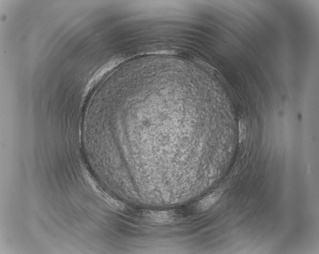 X0000052630349200507221755