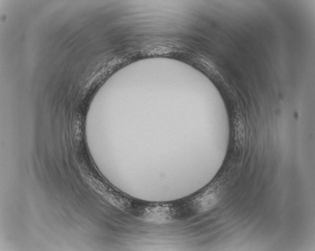 X0000052630362200507221756