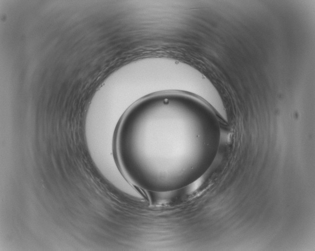 X0000052630372200507221756