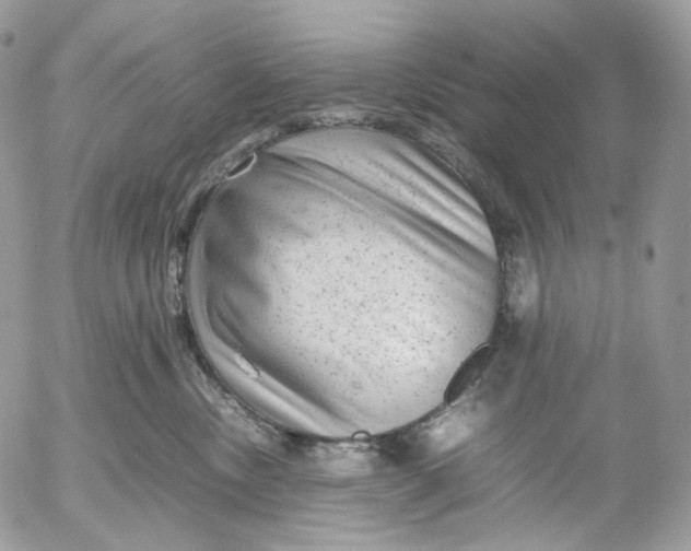 X0000052630378200507221756