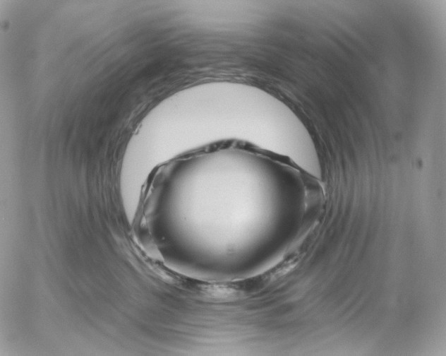 X0000052630380200507221756