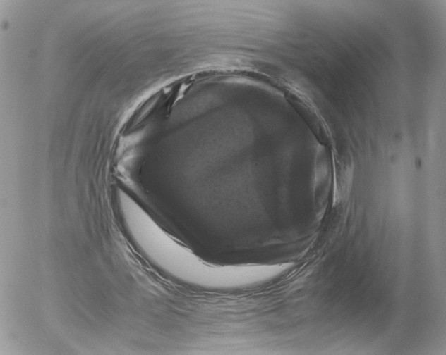 X0000052630387200507221755