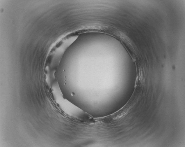 X0000052630388200507221755