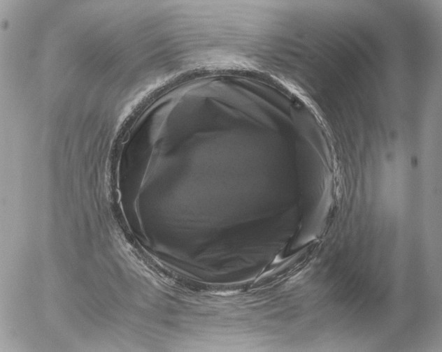 X0000052630391200507221755