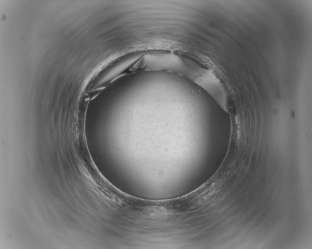 X0000052630392200507221755