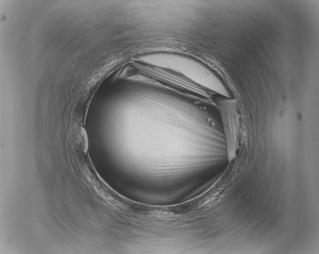 X0000052630393200507221755