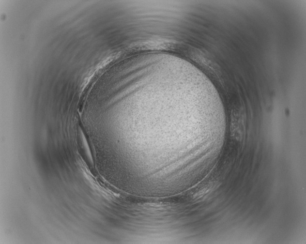 X0000052630394200507221755