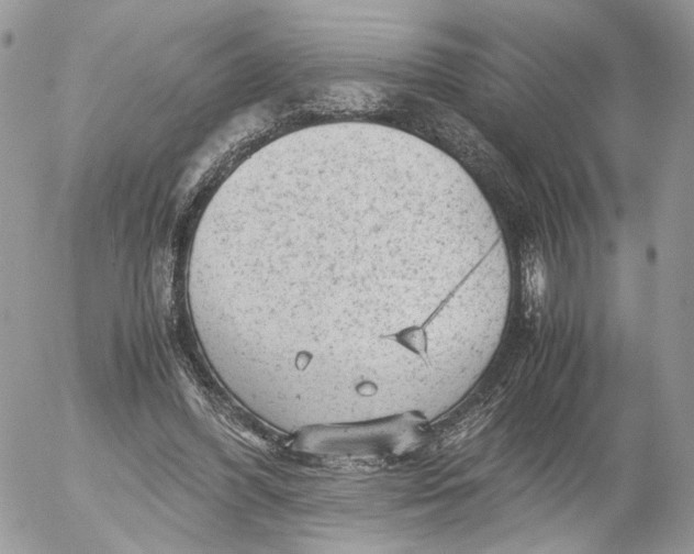 X0000052630396200507221755