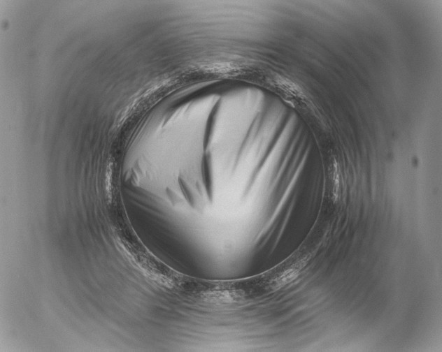 X0000052630404200507221755