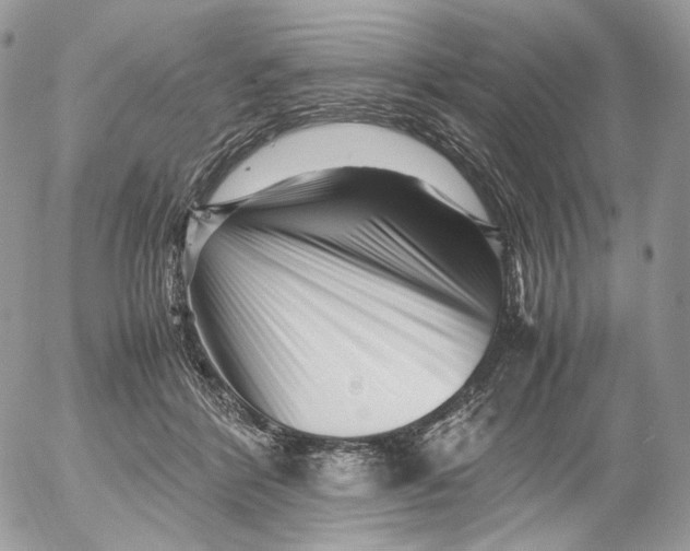 X0000052630412200507221755