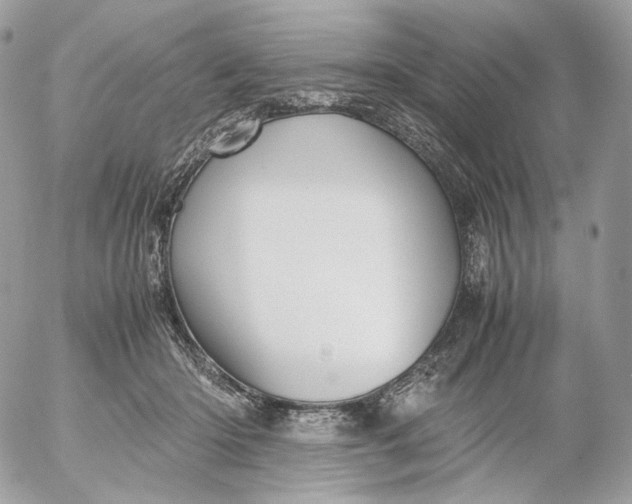 X0000052630414200507221755