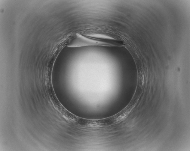 X0000052630416200507221755