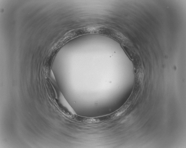 X0000052630421200507221755