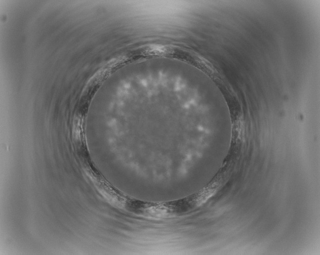 X0000052630423200507221755