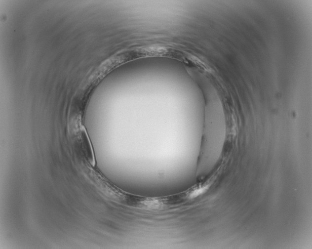X0000052630425200507221755