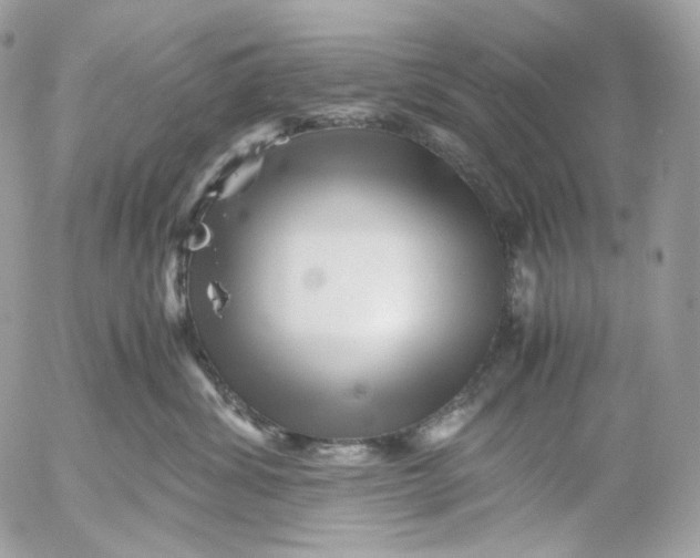 X0000052630428200507221755
