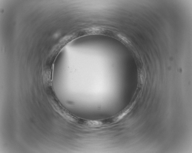 X0000052630429200507221755