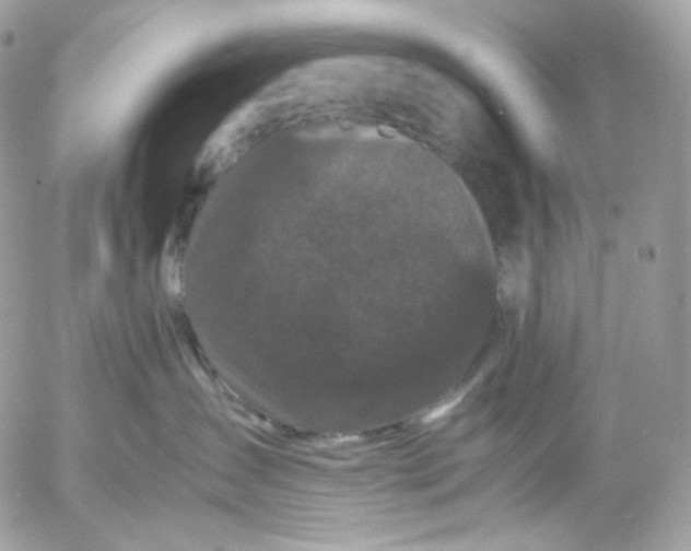 X0000052630431200507221755