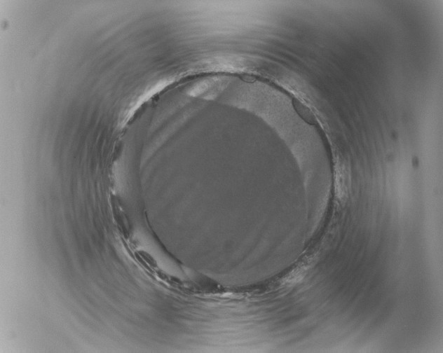 X0000052630434200507221754