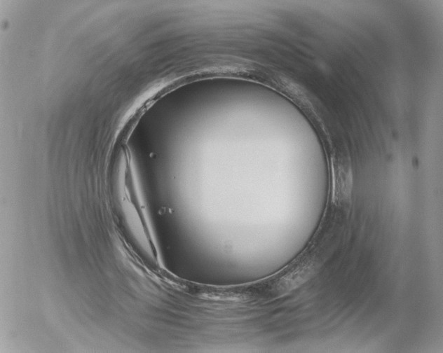 X0000052630435200507221754