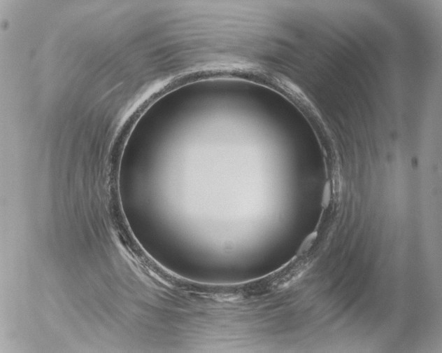 X0000052630436200507221754