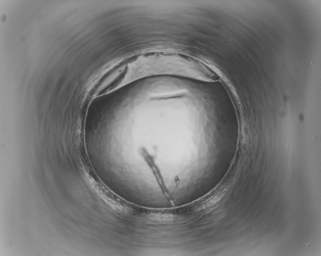 X0000052630437200507221754