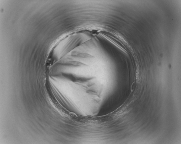 X0000052630438200507221754