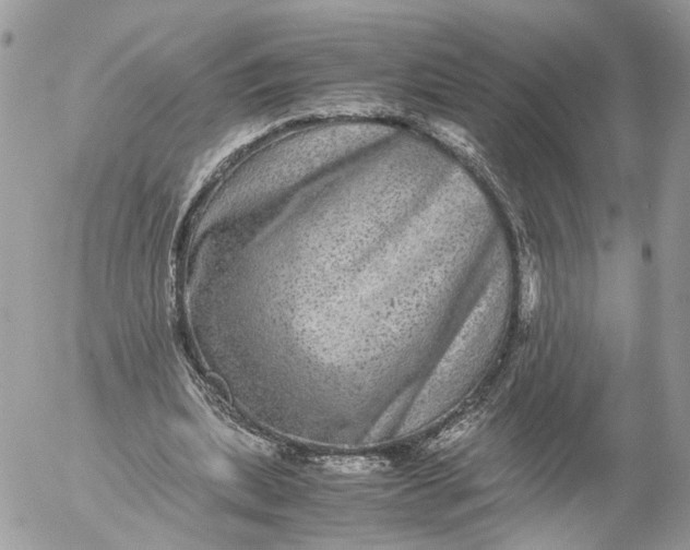 X0000052630439200507221754