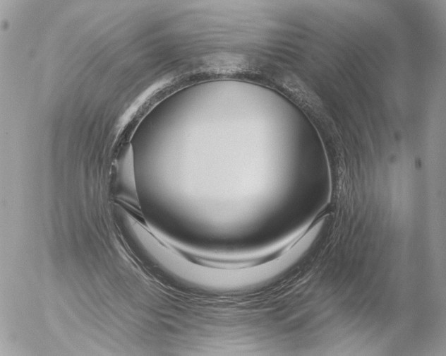 X0000052630440200507221754