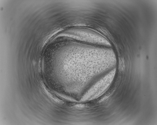 X0000052630441200507221754