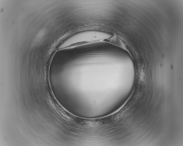 X0000052630442200507221754