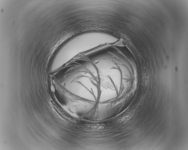 X0000052630443200507221754