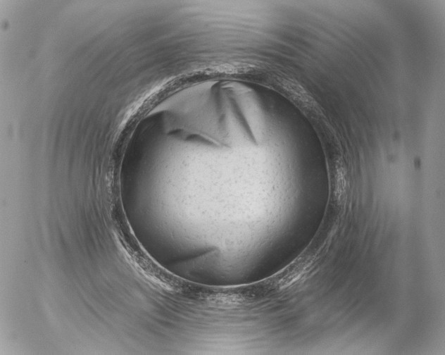 X0000052630444200507221754