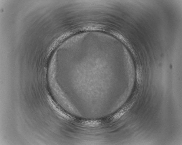 X0000052630445200507221754