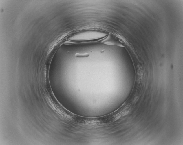 X0000052630446200507221754