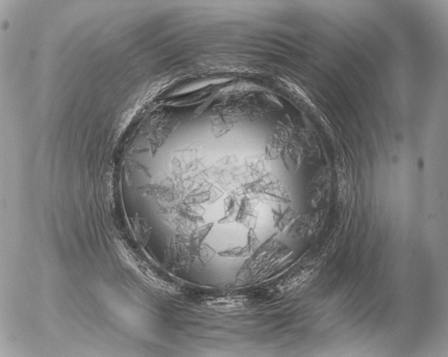 X0000052630447200507221754