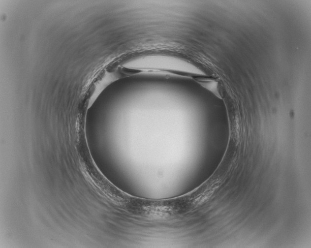 X0000052630448200507221754