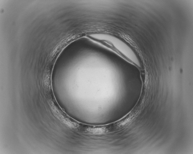 X0000052630449200507221754