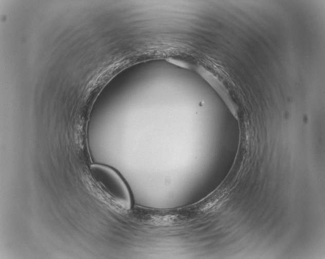 X0000052630450200507221754