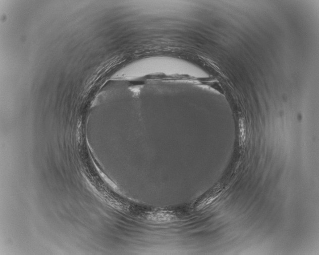 X0000052630451200507221754