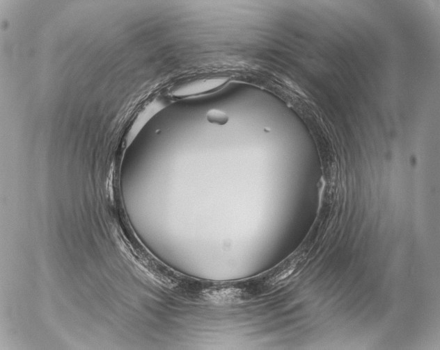 X0000052630452200507221754